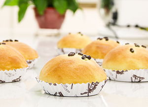 鄭州新東方西點培訓 烘焙培訓 蛋糕培訓 烘焙培訓 法式甜品培訓 鄭州新東方西點西餐培訓學校1