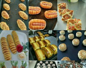 技高西點蛋糕培訓專業學校 陽江西點教育的卓越之選